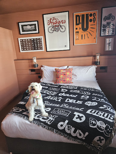 Photo of Deus Ex Machina -The Lodge Of Heavy Leisure - 23 Argyll Rd, Boscombe, Bournemouth BH5 1EB