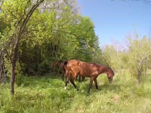 Photo of Midan Market - 500 Greenford Rd, Greenford UB6 8SH