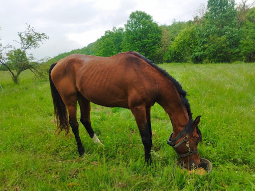 Photo of Midan Market - 500 Greenford Rd, Greenford UB6 8SH