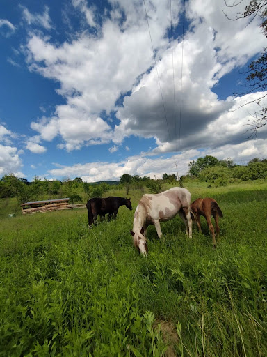 Photo of Midan Market - 500 Greenford Rd, Greenford UB6 8SH