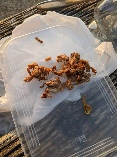 Photo of Oriental Asian Cuisine - Unit 65 Five Valleys, Stroud GL5 1QA