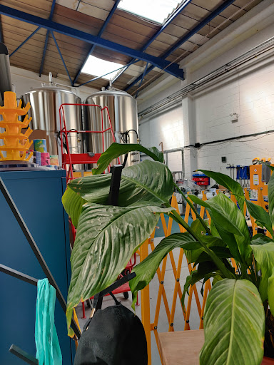 Photo of Double-Barrelled Brewery - Unit 20 Stadium Way, Tilehurst, Reading RG30 6BX