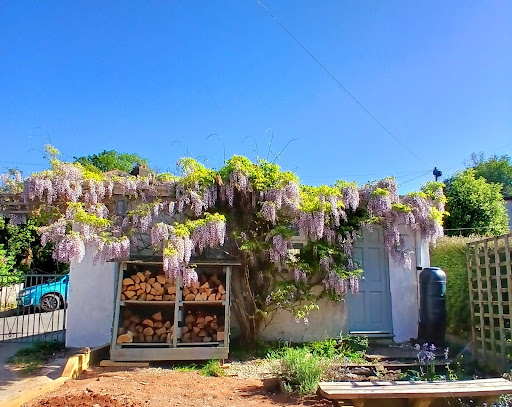 Photo of Totnes Grill Kebab Pizza - 5 The Plains, Totnes TQ9 5DR