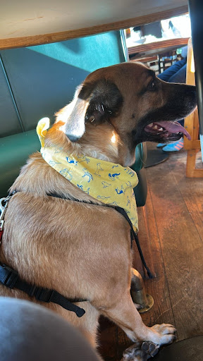 Photo of Frankie & Benny's - Trentham Gardens Cl, Stone Rd, Trentham, Stoke-on-Trent ST4 8AX