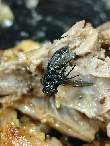 Photo of Mannoush Lebanese Restaurant - 230 High St, London E17 7JH