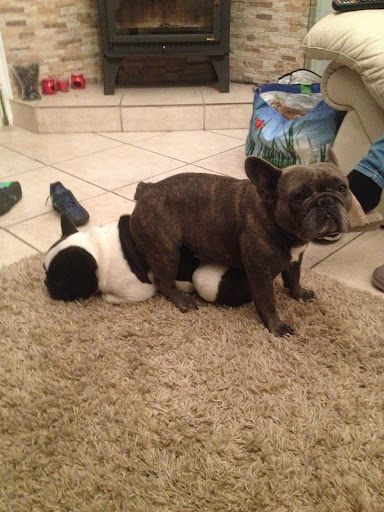 Photo of Stratford Kebab House - 16 Meer St, Stratford-upon-Avon CV37 6QB