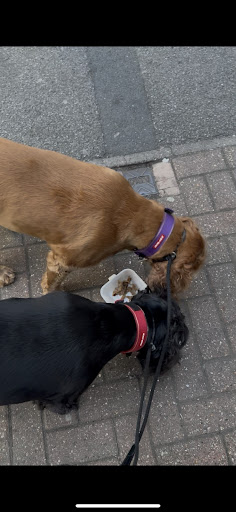 Photo of North Harrow BBQ Grill - 77 Station Rd, North Harrow, Harrow HA2 7SW