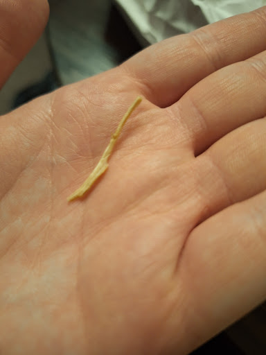 Photo of Sultan's Kebab House - Bristol & West House, 6 Alexandra Parade, Avon Cl, Bristol, Weston-super-Mare BS23 1QS