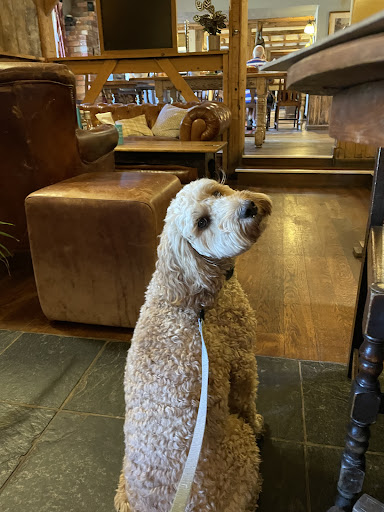 Photo of The Smugglers Inn - Osmington Mills, Weymouth DT3 6HF