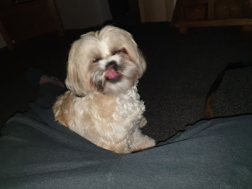 Photo of The Olympia - 16-18 Caledonian Rd, Wishaw ML2 8AR