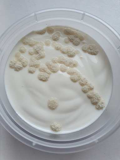 Photo of King Shawarma - 134 Botchergate, Carlisle CA1 1SH