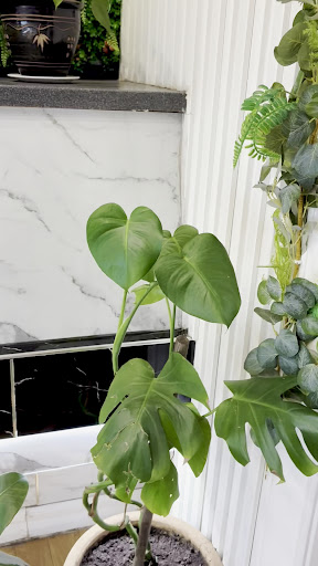 Photo of Langey Kebab & Grill - 5 Meadfield Rd, Langley, Slough SL3 8HL