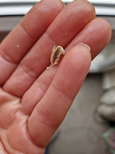 Photo of Bodrum Pizza - 18 Bootham, York YO30 7BL