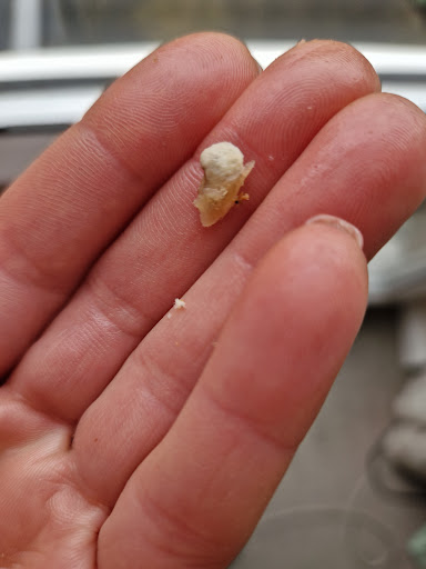 Photo of Bodrum Pizza - 18 Bootham, York YO30 7BL