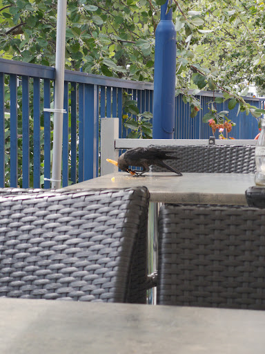 Photo of Älmhults Restaurang & Pizzeria - Köpmangatan 11, 343 36 Älmhult