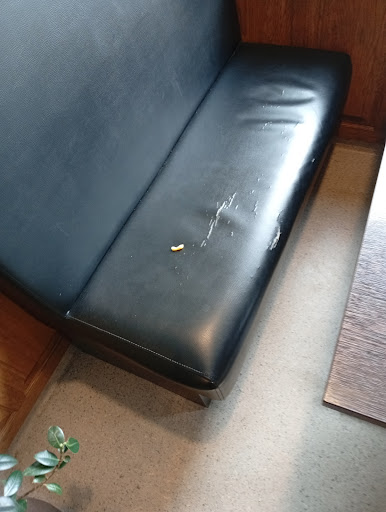 Photo of Pizzeria Shalom - Repslagaregatan 17, 671 30 Arvika