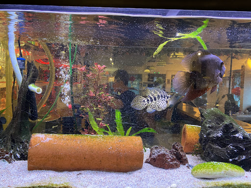 Photo of Centrumbaren Restaurang i Krylbo - Järnvägsgatan 22, 775 51 Krylbo