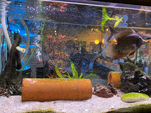 Photo of Centrumbaren Restaurang i Krylbo - Järnvägsgatan 22, 775 51 Krylbo