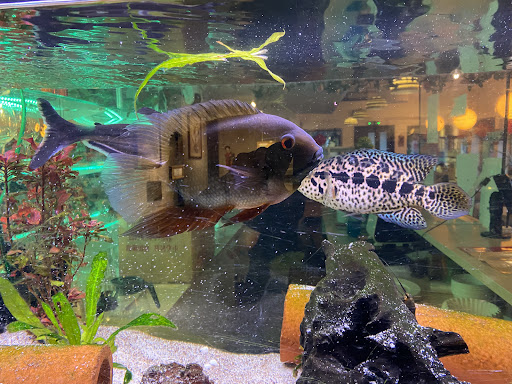 Photo of Centrumbaren Restaurang i Krylbo - Järnvägsgatan 22, 775 51 Krylbo