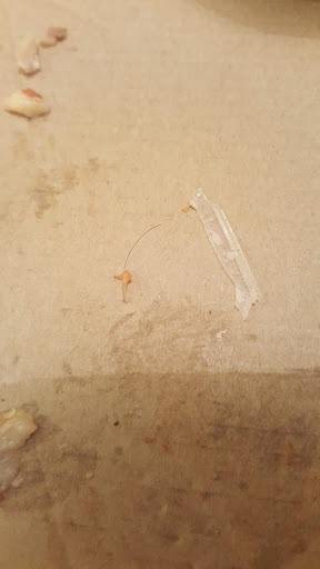 Photo of Maestro pizzeria Falun - Falugatan 1, 791 71 Falun