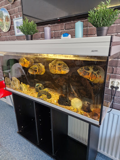 Photo of Kebab City - Storgatan 12B, 871 31 Härnösand