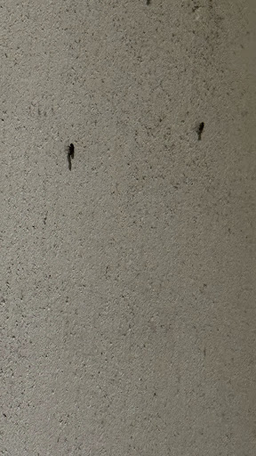 Photo of K25 - Kungsgatan 25, 111 56 Stockholm