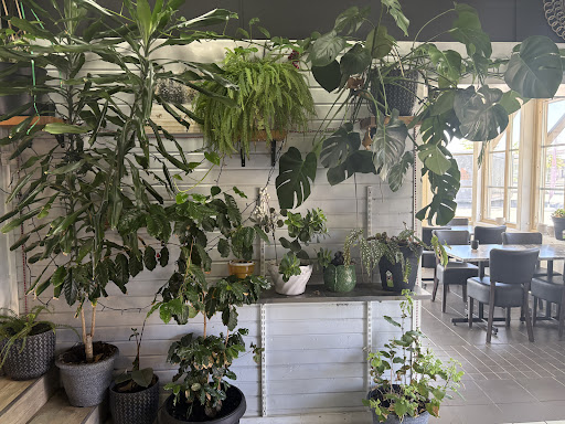 Photo of Laya kolgrill i Ljungby - Stationsgatan 4, 341 23 Ljungby