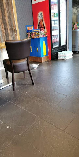 Photo of Sara - Bergsgatan 24, 214 22 Malmö