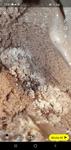 Photo of Sara - Bergsgatan 24, 214 22 Malmö