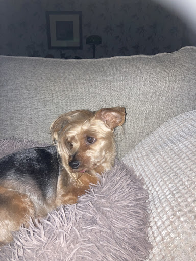 Photo of Leksbergsgrillen - Leksbergsvägen 103, 542 41 Mariestad