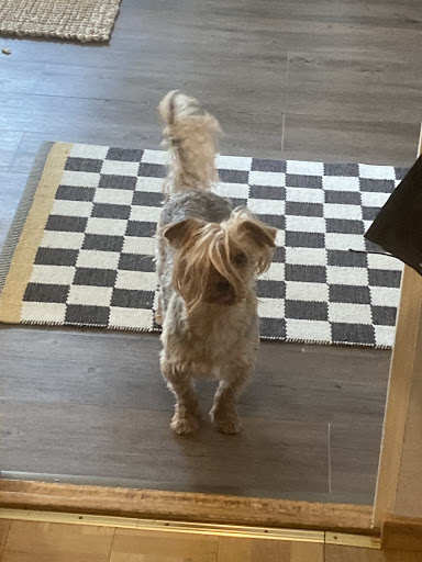 Photo of Leksbergsgrillen - Leksbergsvägen 103, 542 41 Mariestad