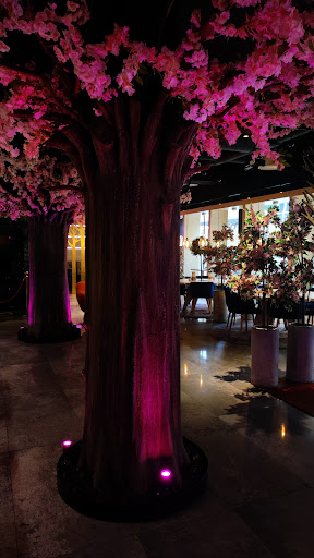 Photo of Sushi Nara - Sankt Persgatan 96, 602 32 Norrköping