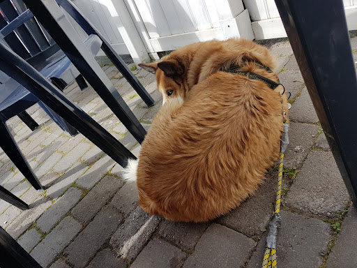 Photo of Kifas Pizzeria & Grillbar - Granvägen 2A, 943 31 Öjebyn