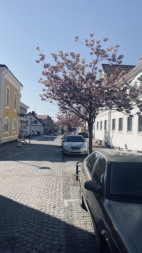 Photo of Everest Restaurang Ronneby - Karlskronagatan 31, 372 29 Ronneby