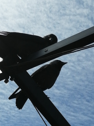 Photo of Banes Kebab & pizza - Kyrkogatan 15, 371 31 Karlskrona