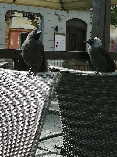 Photo of Banes Kebab & pizza - Kyrkogatan 15, 371 31 Karlskrona