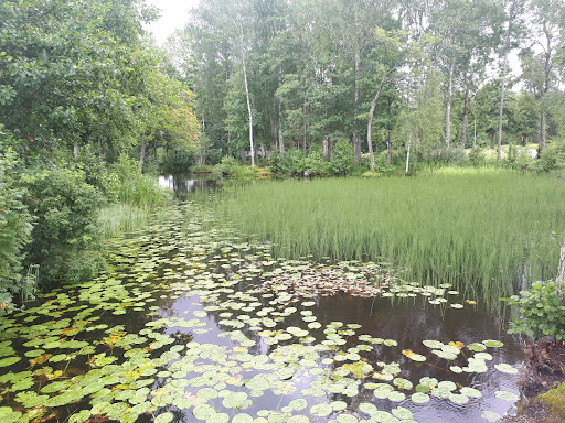 Photo of Måns Ols Utvärdshus - Måns-olsvägen 100, 733 36 Sala