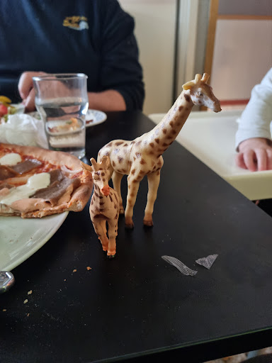 Photo of Pizzeria REMSLE - Norra Ådalsvägen 16, 881 51 Sollefteå