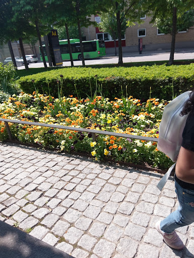 Photo of Dressinen - Stadshusgatan 11, 753 21 Uppsala