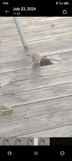 Photo of Vimmerbys Pizzeria & Grill - Tullen 1, 598 37 Vimmerby