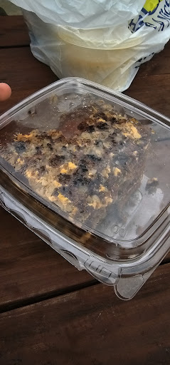 Photo of Wild Thyme - 2226 Cleveland Ave NW, Canton, OH 44709