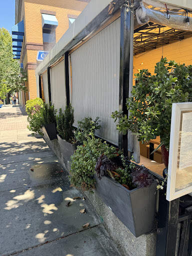 Photo of Silk Road - 1440 N Main St, Walnut Creek, CA 94596