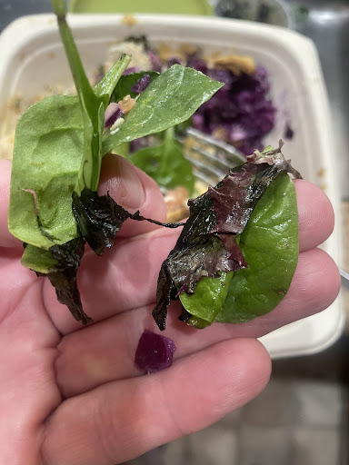 Photo of Gotta Eatta Pita - 35 Crescent Dr F, Pleasant Hill, CA 94523