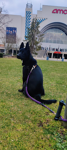 Photo of Gyro Express Mediterranean Grill - 3000 184th St SW #844, Lynnwood, WA 98037