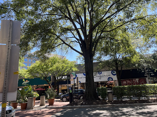 Photo of Moby Dick House of Kabob - 4037 Campbell Ave, Arlington, VA 22206