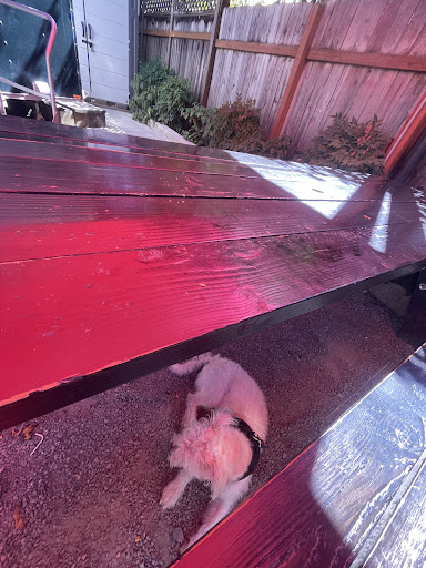 Photo of ABBAS - 5215 N Lombard St, Portland, OR 97203