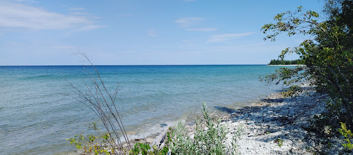 Photo of Wendy's - 1036 W Chisholm St, Alpena, MI 49707
