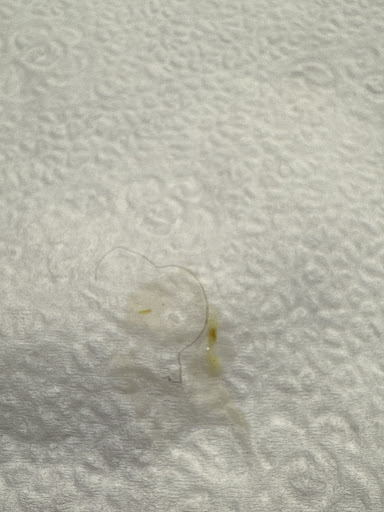 Photo of The Pita Guys - 133 N Twin Oaks Valley Rd #104, San Marcos, CA 92069