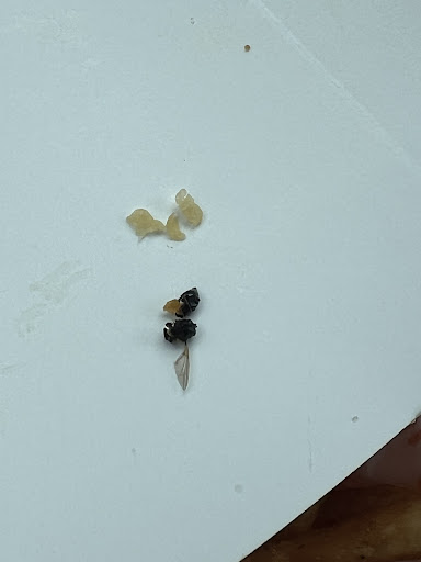 Photo of Popeye's Louisiana Kitchen - 461 Western Bypass, Andalusia, AL 36420