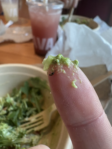 Photo of CAVA - 5100 N 9th Ave #501, Pensacola, FL 32504